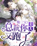 一胎三宝:总裁爹地惹不起