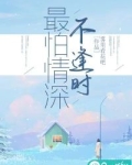 最怕情深不逢时是什么歌