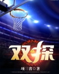 双探在线观看免费完整版电视剧