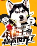 萌宠成长记哈士奇在哪集