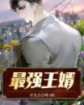 都市之狂婿最强战神