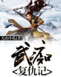 武痴复仇记 小说