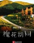 槐花胡同小说