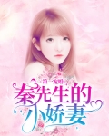 秦先生宠妻入骨