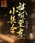 小县令被迫登基(基建)临西洲紫薇