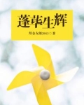 蓬荜生辉的拼音