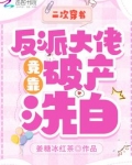 二次穿书,反派大佬竟靠破产洗白txt