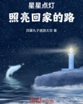 星星点灯照亮了我的家门是什么歌