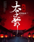 大清太子爷TXT