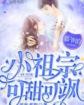 慕爷的小祖宗可甜可飒简介