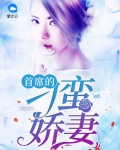 首席的宠妻