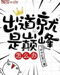 出道就是巅峰怎么办下载