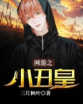 小丑牌是单机还是网游