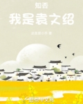 知否我是袁文绍起点