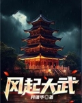 风起系列