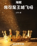 海贼:我可是王路飞呀TXT