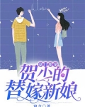 豪门甜宠：贺少的替嫁新娘