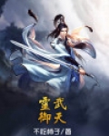 灵武御天盾