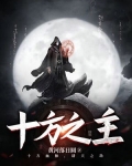十方之主小说