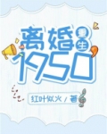 离婚1950[重生] 红叶似火百度云