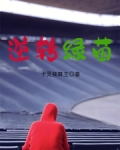 绿茵逆转王