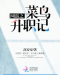 网游之菜鸟升职记小说免费阅读全集