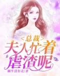 总裁，夫人忙着虐渣呢