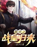 都市战婿归来下载