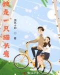 一只野生猫头鹰的价值
