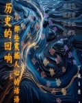 历史的回声