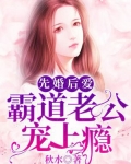 先婚后爱：霸道老公宠上瘾