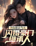 下山退婚的都市小说温扶摇