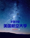 1914美国航空大亨 小说