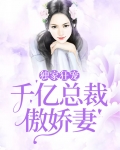 千亿总裁宠妻成狂全文下载