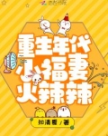 重生小辣妻
