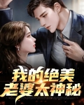 我的绝美总裁老婆全文免费视频