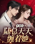 生崽后，陆总天天缠着她