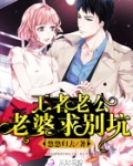 王者老公:老婆求别坑
