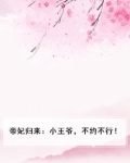 帝妃归来：小王爷，不约不行！