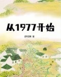 从1977开始