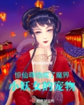 仙尊又被魔尊拐跑了