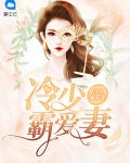 冷少霸爱r