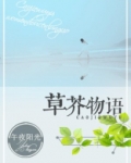 草芥的意思是什么的意思