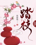 踏枝玖拾陆全文免费阅读