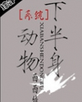 系统之半身动物讲的什什