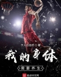 我的身体需要养生篮球TXT下载