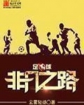 足球:非凡之路 云雾轻扬