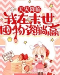 天灾降临:我在末世囤物资躺赢免费阅读