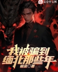我被骗到缅北的那些年小说免费阅读
