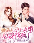 她藏起孕肚离婚,总裁找疯了短剧